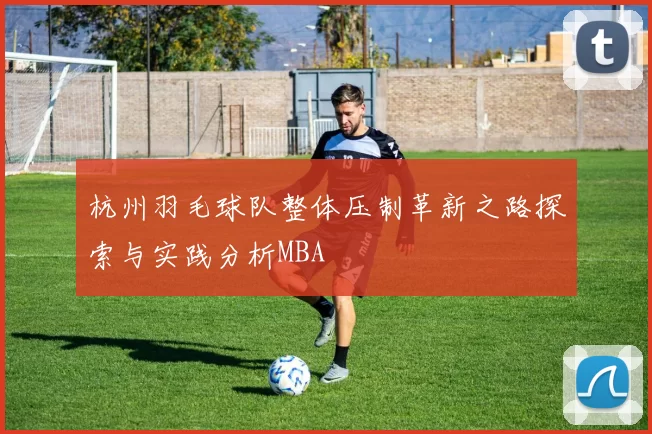 杭州羽毛球队整体压制革新之路探索与实践分析MBA